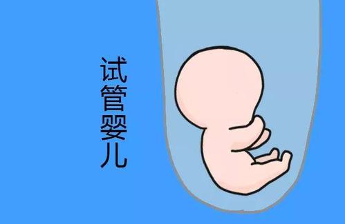 冷冻室